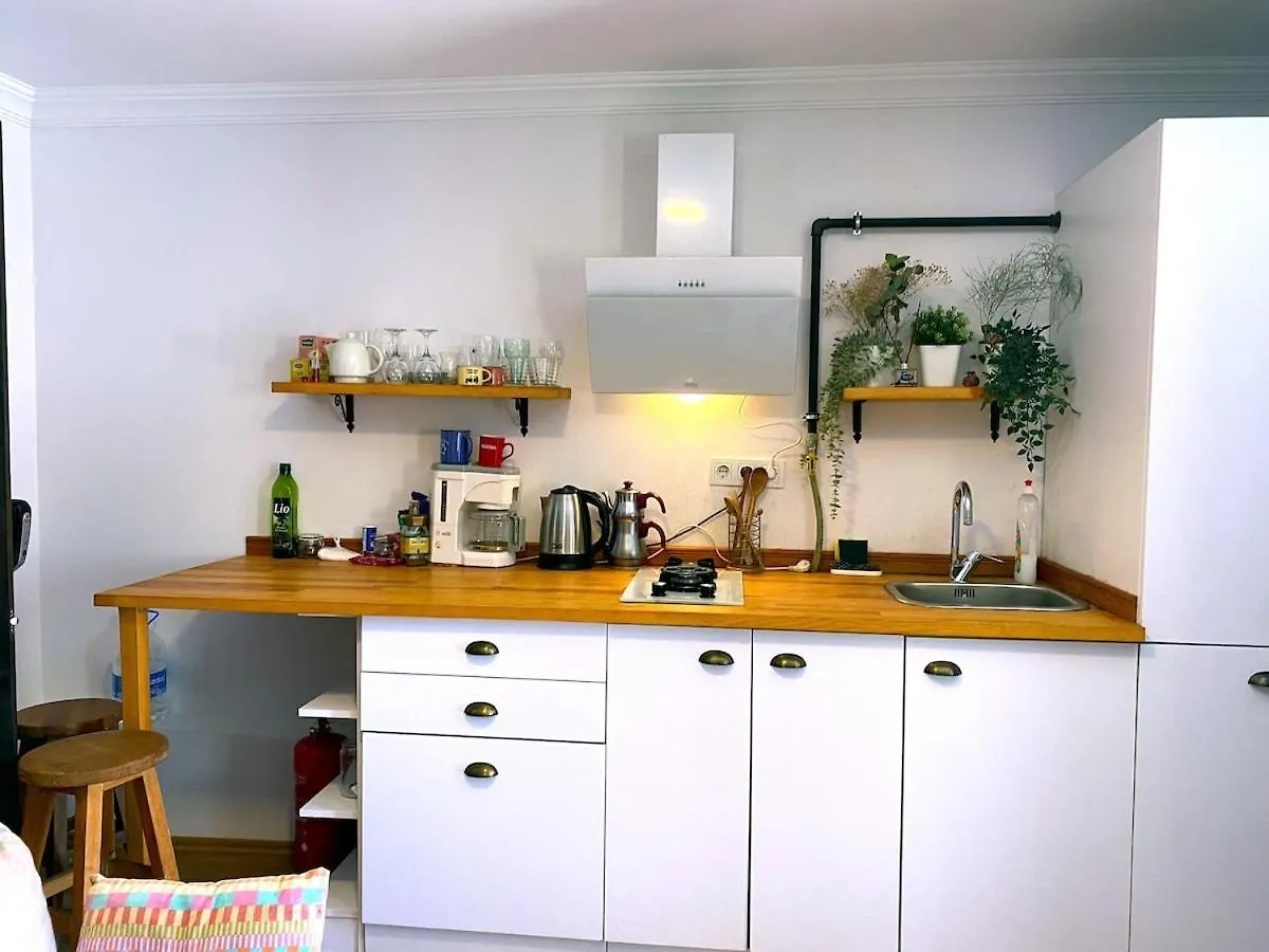 Studio Flat In Ortakoey Istanbul Turkey